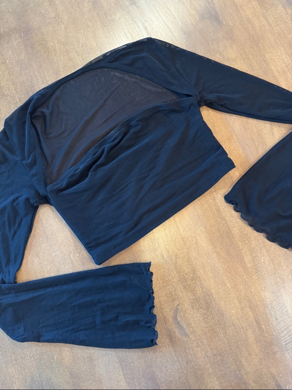 Sheer Black Long Sleeve Cropped Top